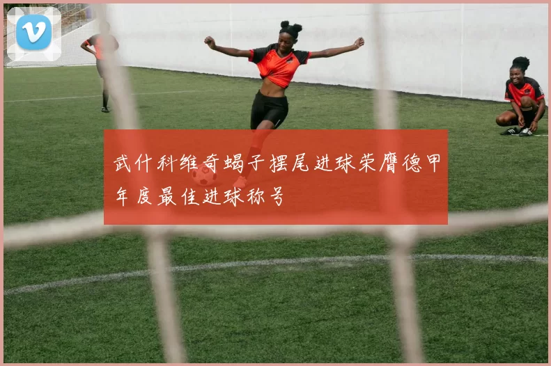 武什科维奇蝎子摆尾进球荣膺德甲年度最佳进球称号
