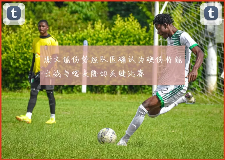 谢文能伤势经队医确认为硬伤将能出战与喀麦隆的关键比赛